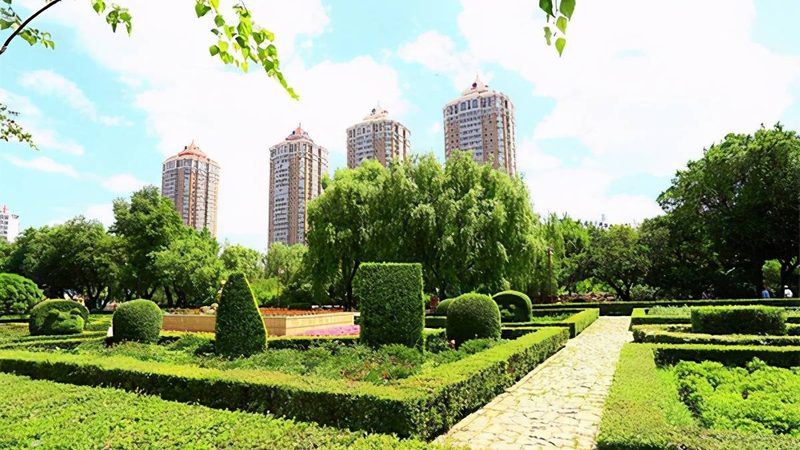 园林绿化养护技术规范解读：标准与要点**