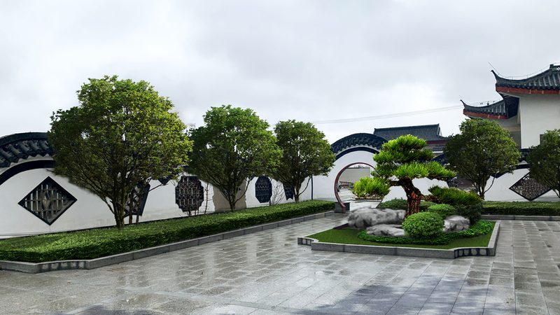 耐阴小区绿化植物推荐：如何打造阴凉处的绿色景观