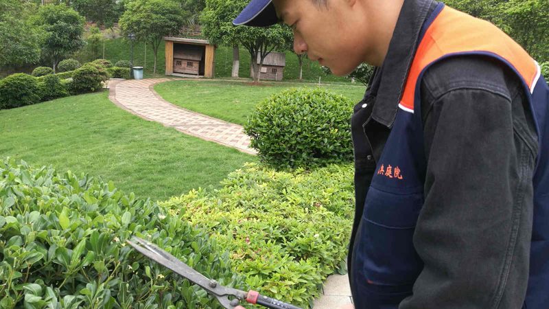 目前，市场上常见的屋顶绿化防水卷材主要有以下几种类型：