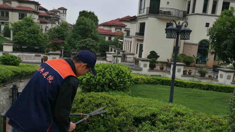 成都开业庆典绿植租赁：如何打造绿色氛围**