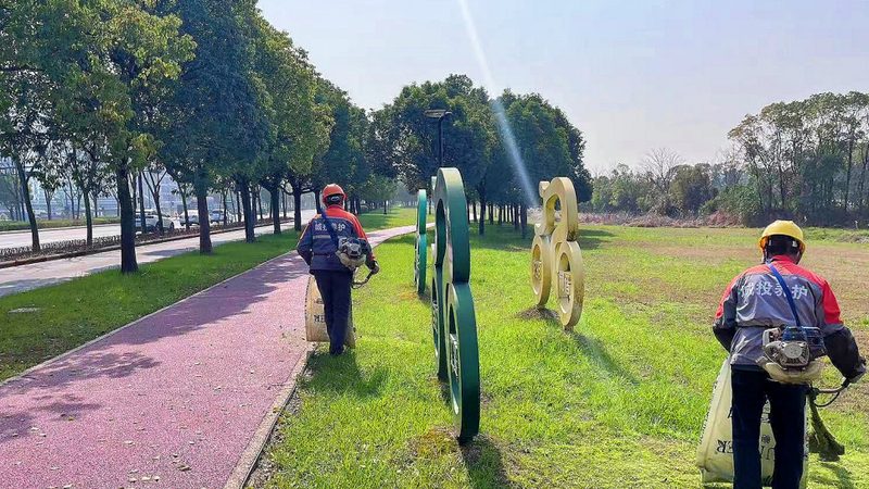 垂直绿化墙海绵基质好用吗