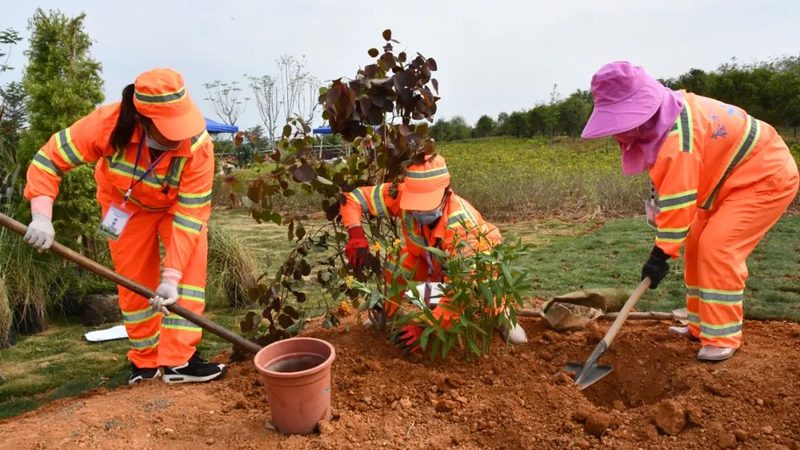 苗木种植基地批发报价单背后的真相