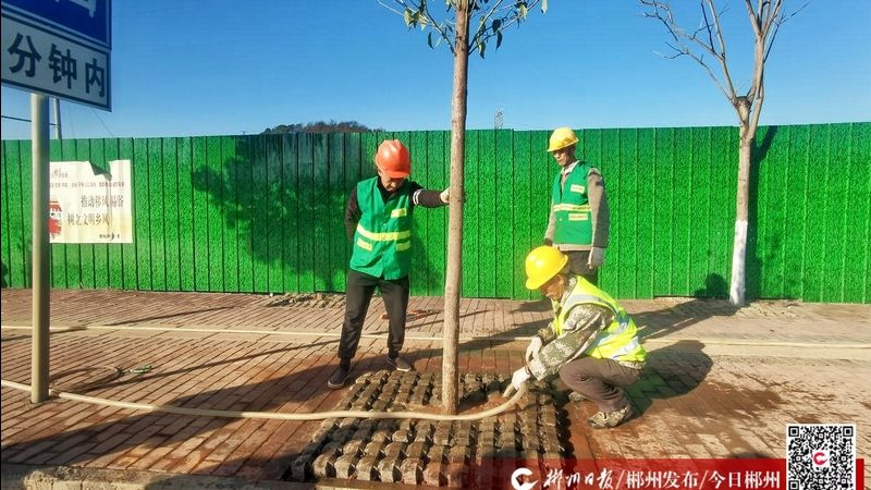 上海园林公司收费标准揭秘：价格构成与影响因素