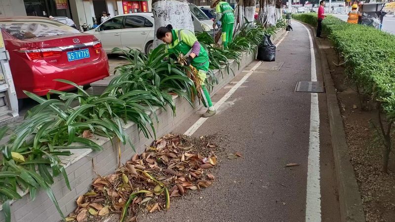 花卉租摆有哪些注意事项