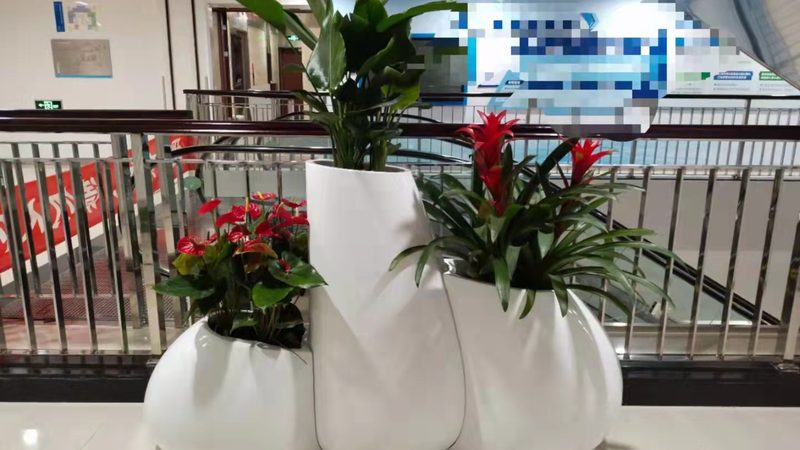 河道边坡绿化施工规范解析**