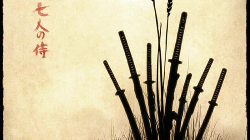 上海苗木种植资质要求：合规种植，保障绿化品质**